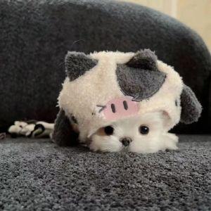 11.