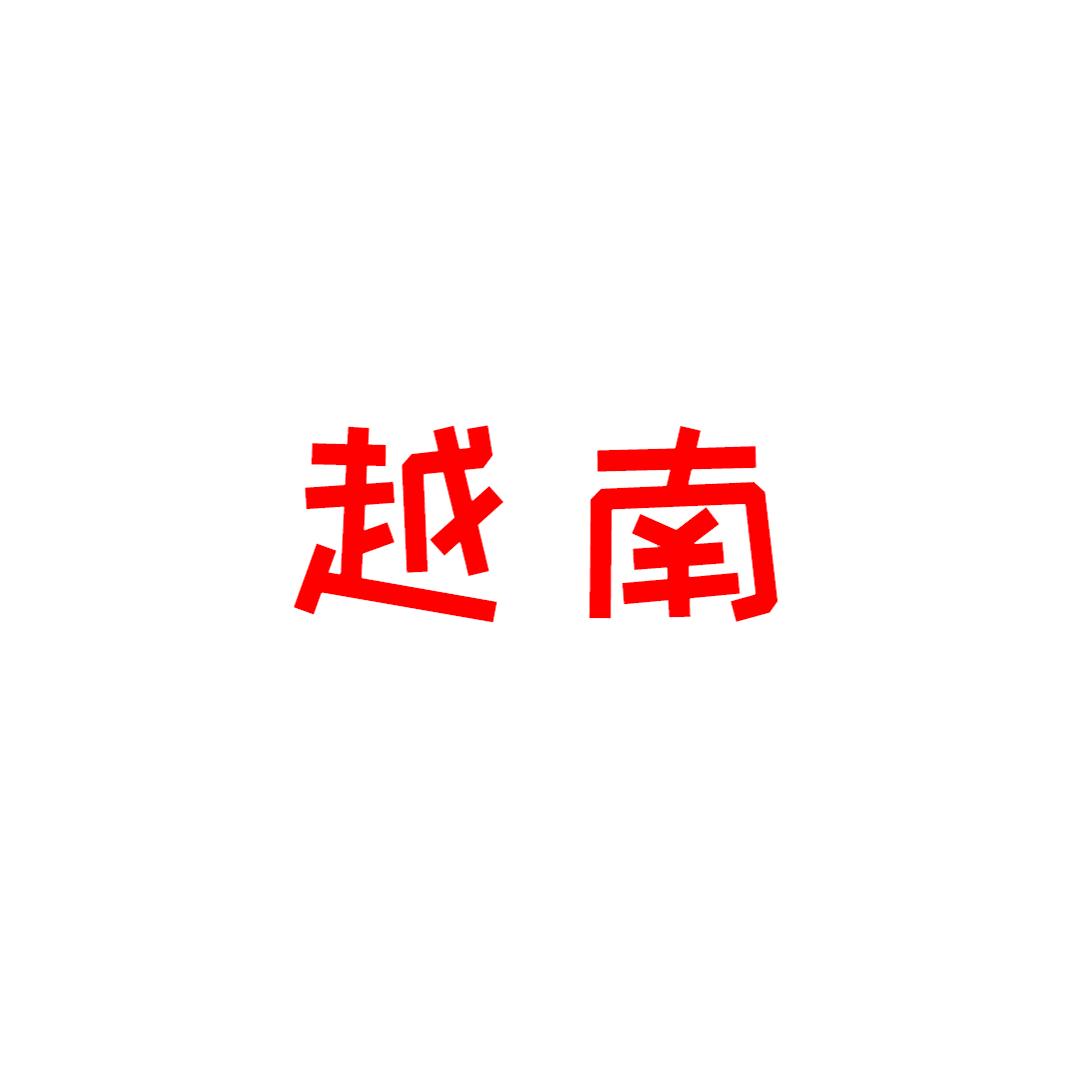越南实况