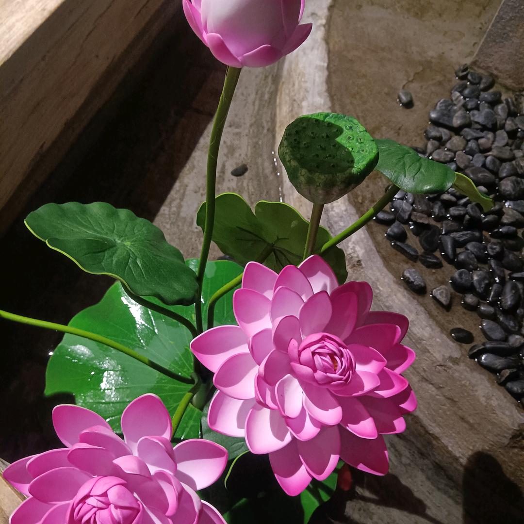 实话实说，低调做人，