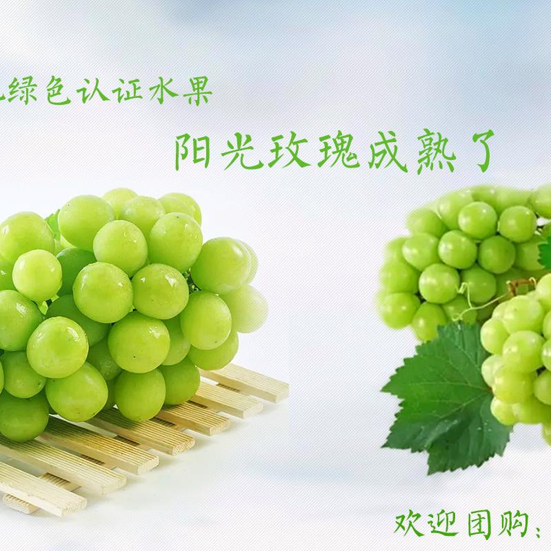 陕州区城村葡萄书记