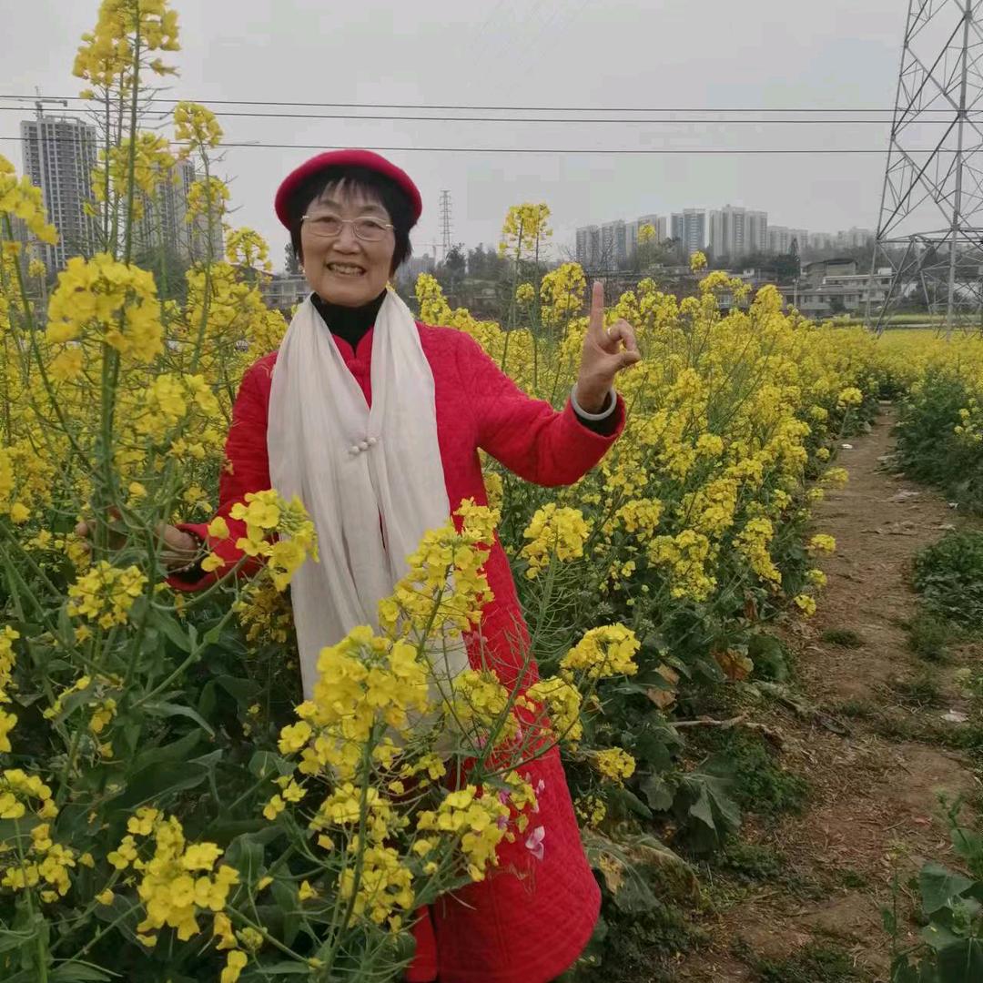 好运来