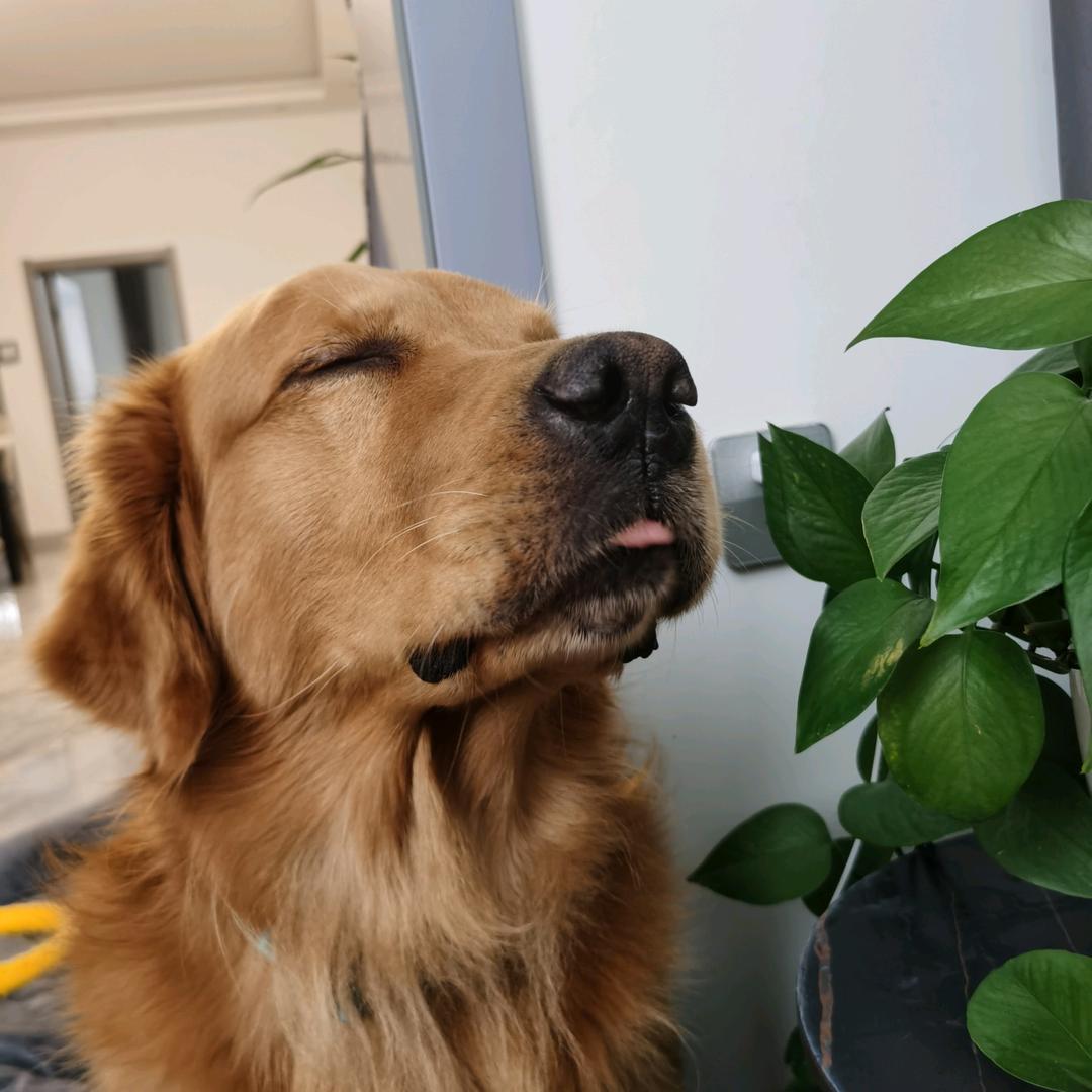 Lucky