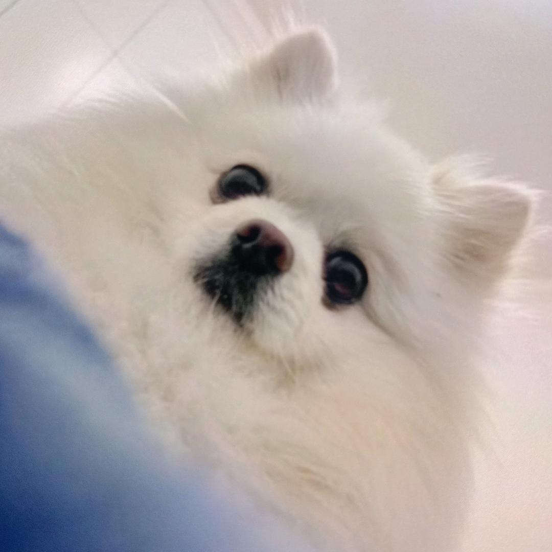 40后老头