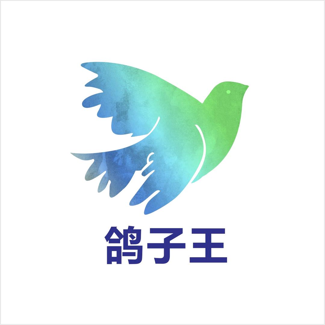 鸽子王赛鸽用品