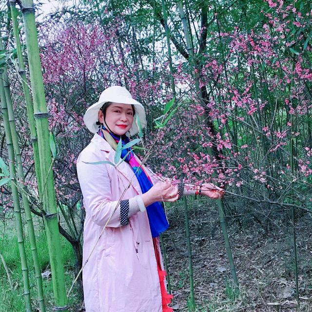 兰花仙子
