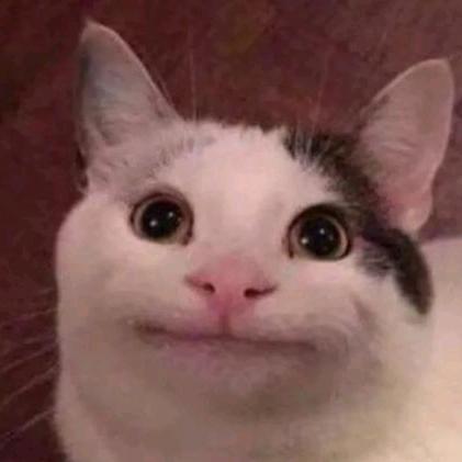 小四头
