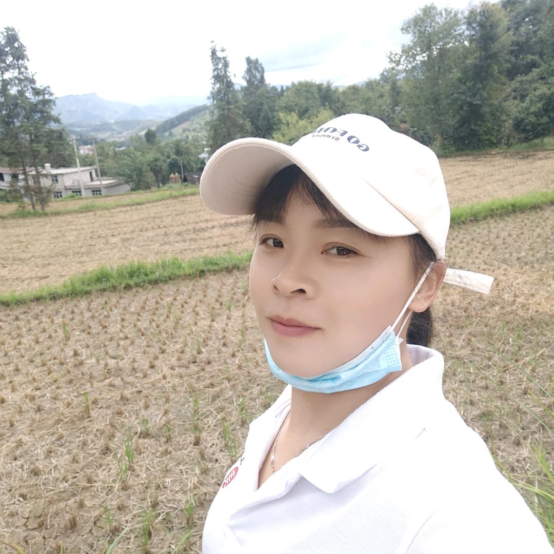 暗香