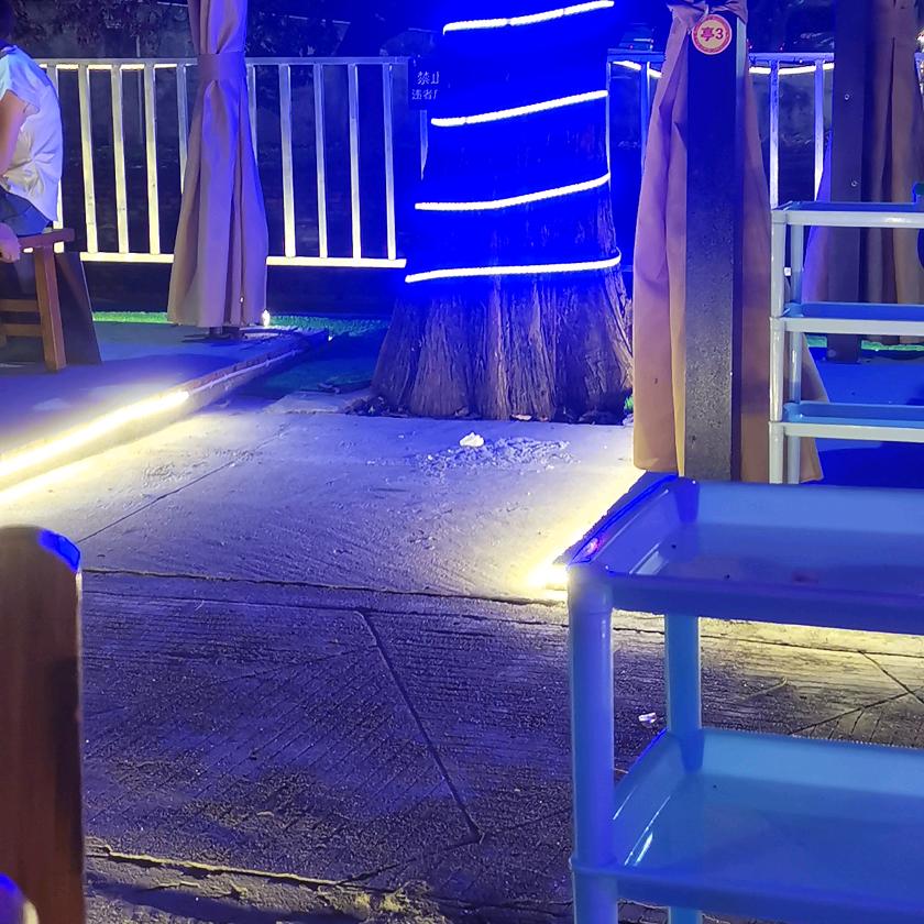 森林里的秘密