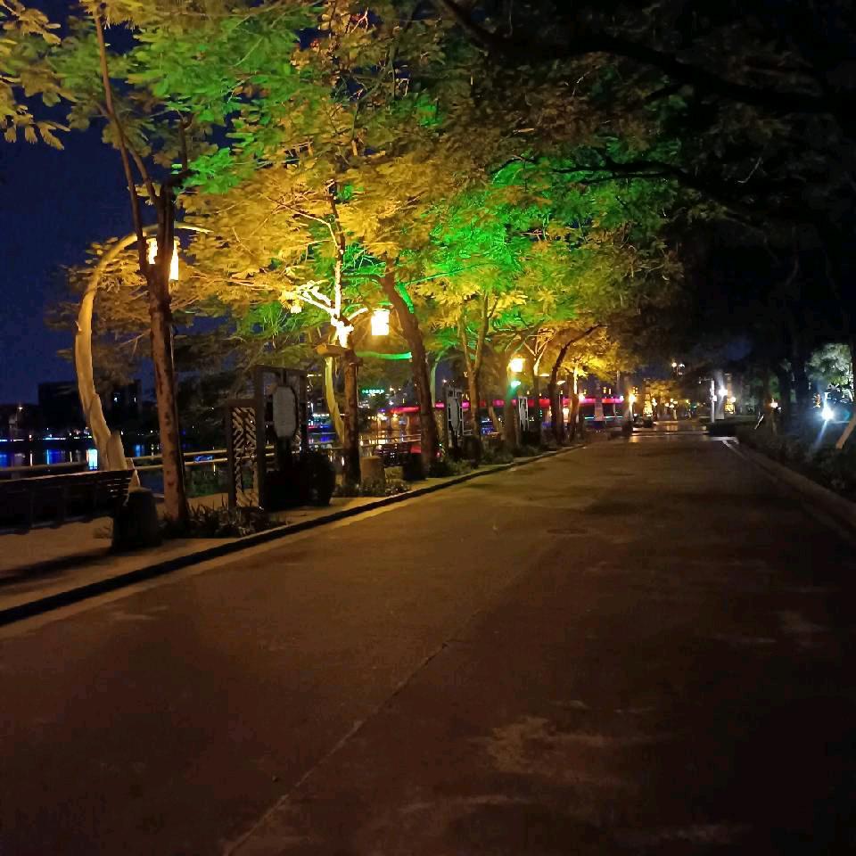 青青河边草