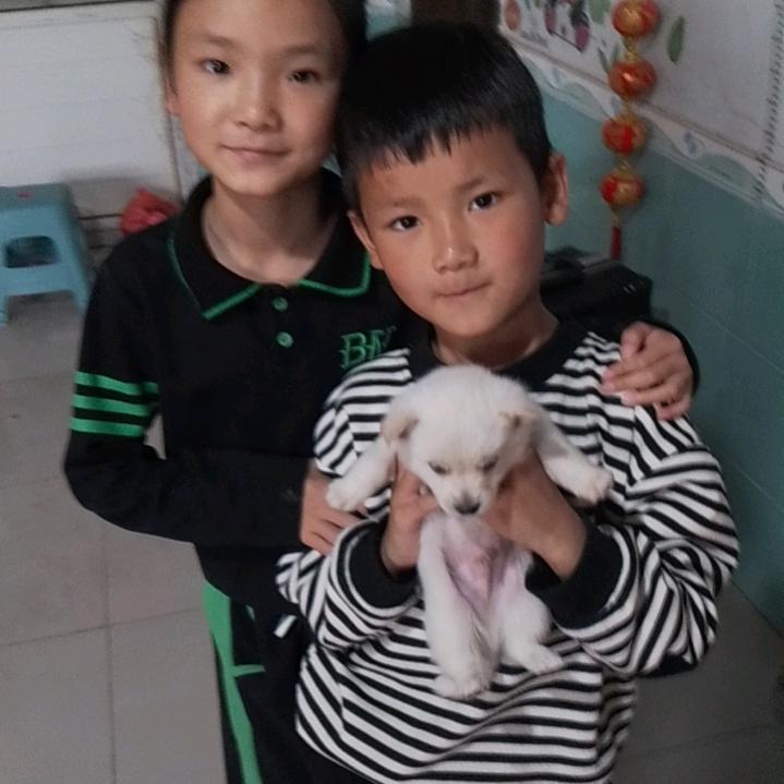 🌸昕昕超市🌸