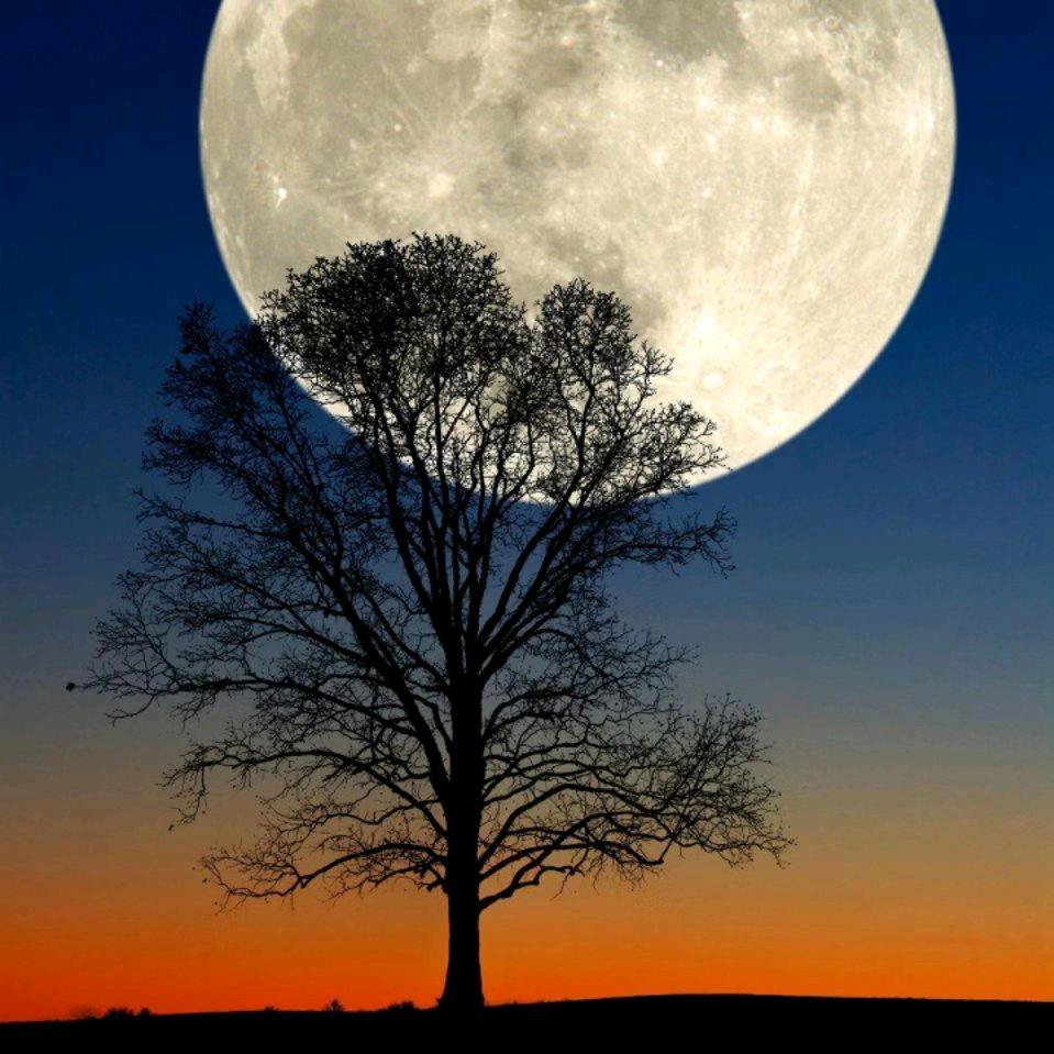 一个无助的老人