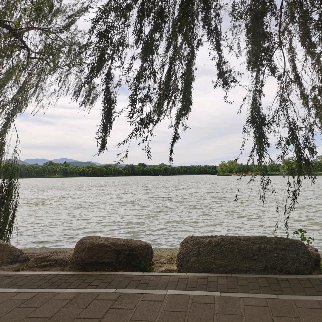 懒