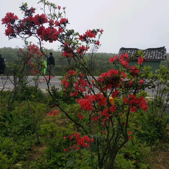 始终如一