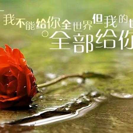 🥀এ᭄往后ꦿ余🐶生ོ࿐ᩚ