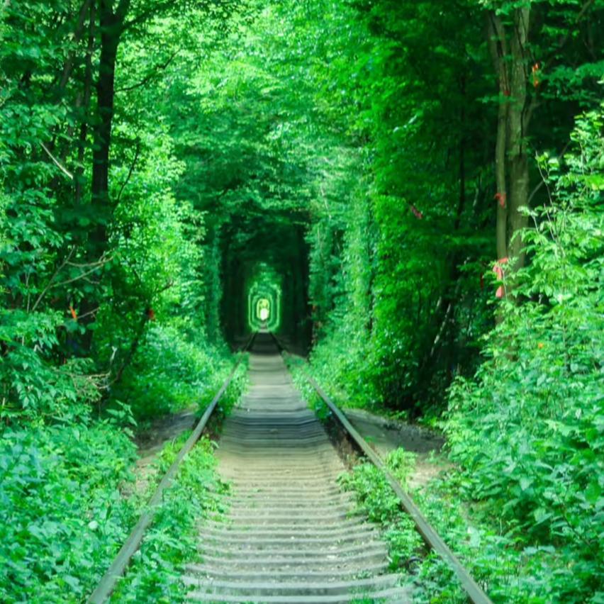 ঞོོོ你过来呀ঞོོོ