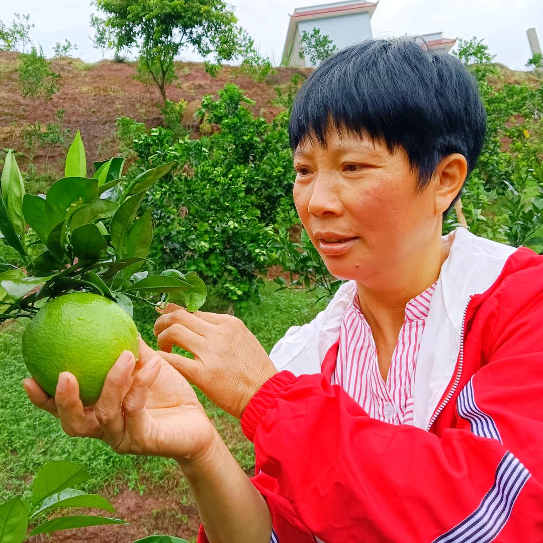 合江县赵绍轩家庭农场