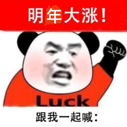 一棵会开花的树
