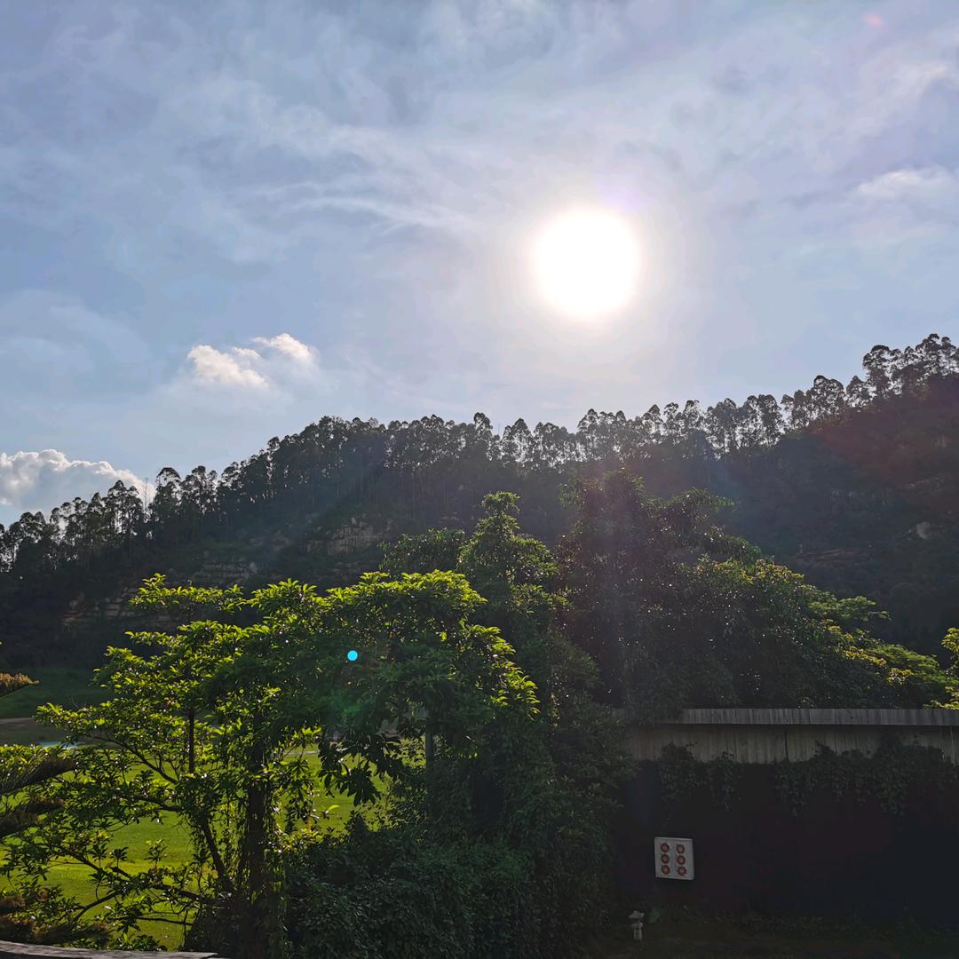 🌈小鲤鱼泡泡🌈