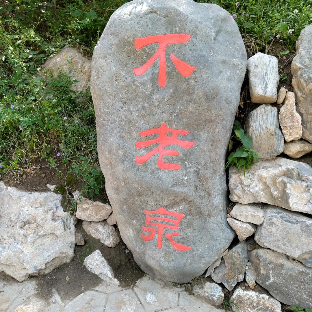 甘谷辣椒哥