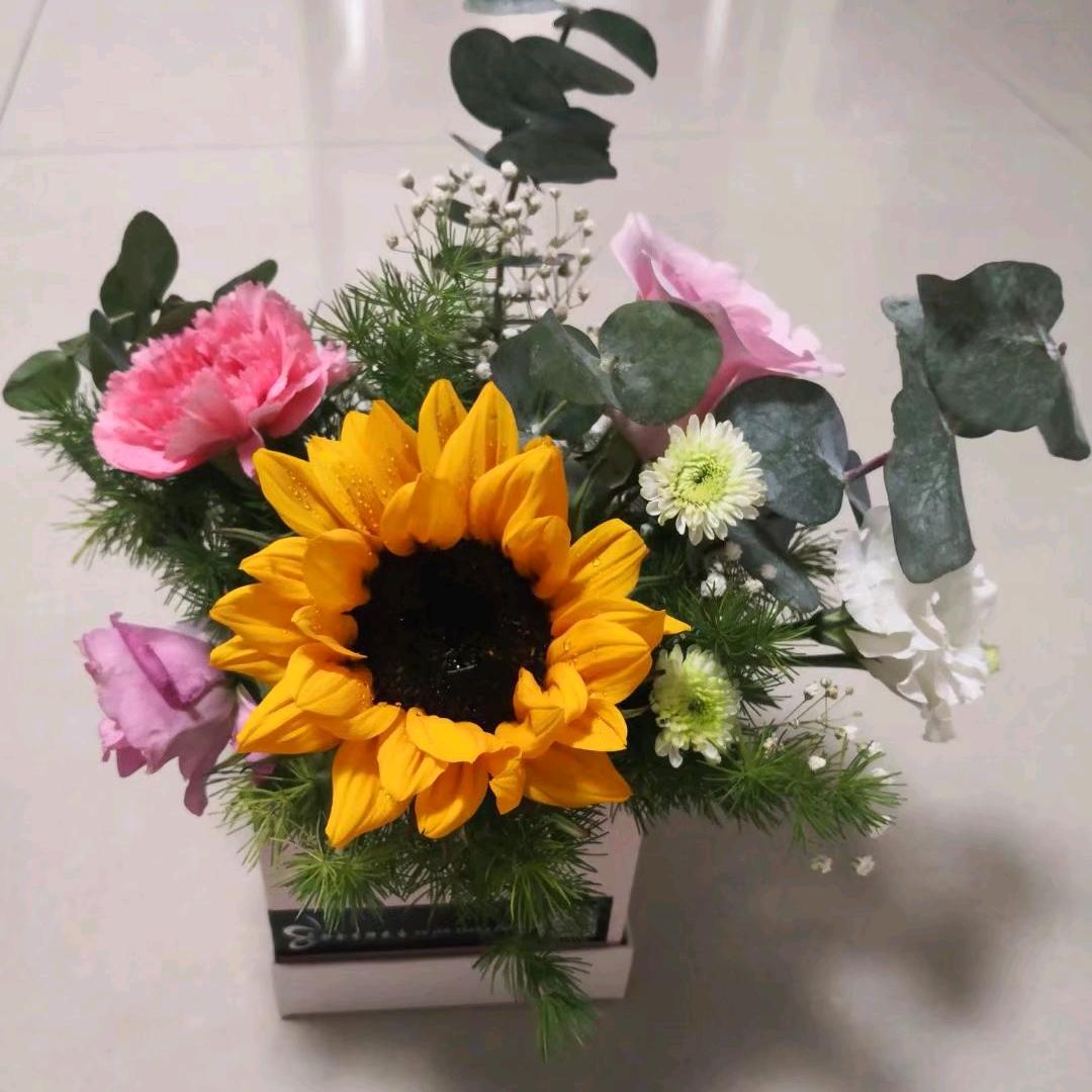 一线天（拒私聊）