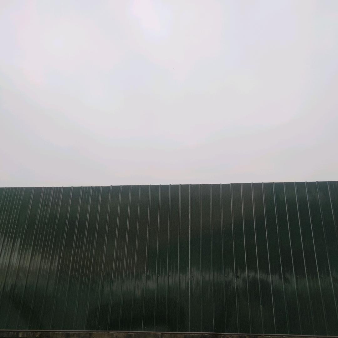 大海里的小树林