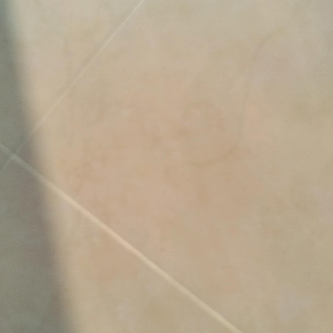 随缘