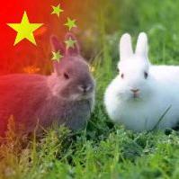 弘文