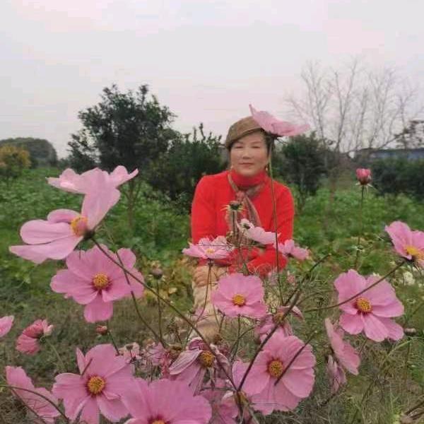 周明富跷脚牛肉