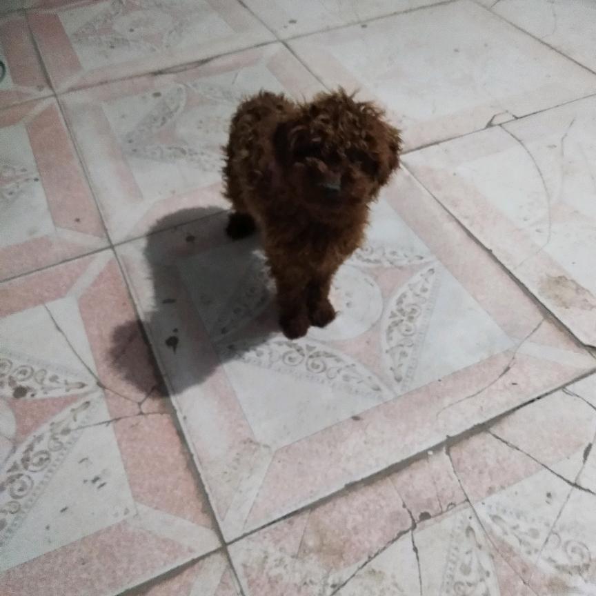 幸福一家人。。。