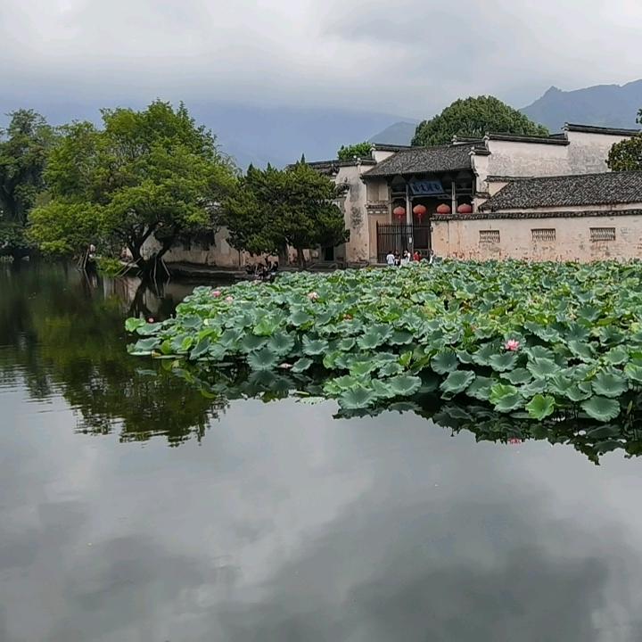 二伟