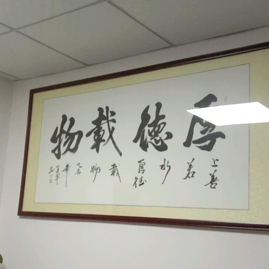 军舰鸟