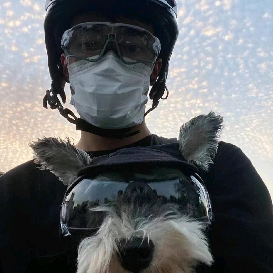 天天鱼块超人强