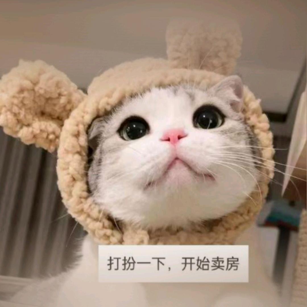 阜阳好房甄选（免费看房）