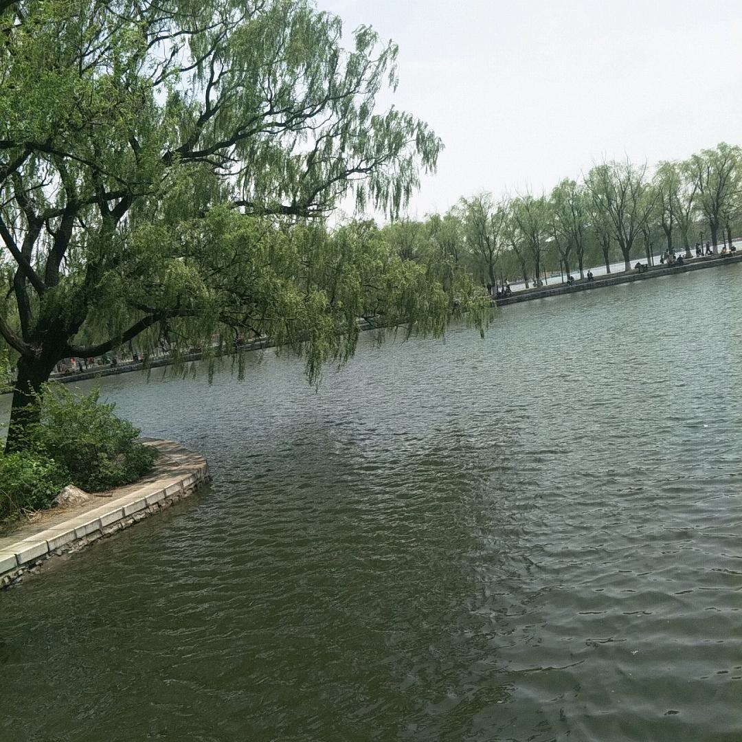 火苗