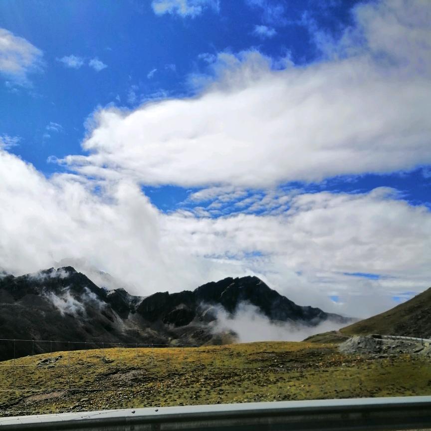 高原雄鹰
