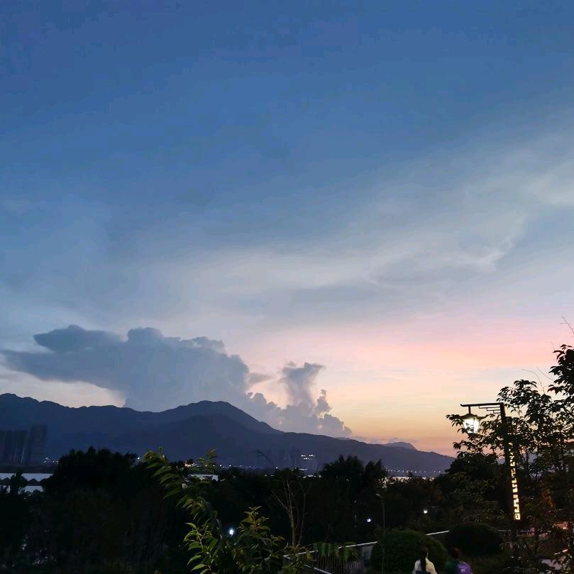 鲨🦈