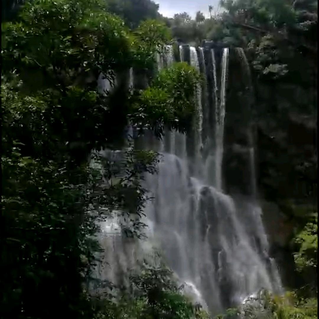 圆源
