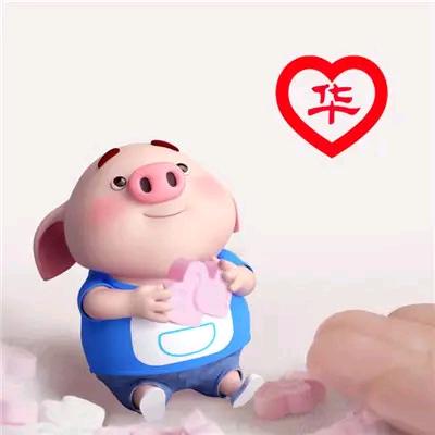 朗逸咯