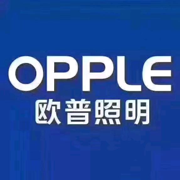 青山区一宫欧普照明体验店