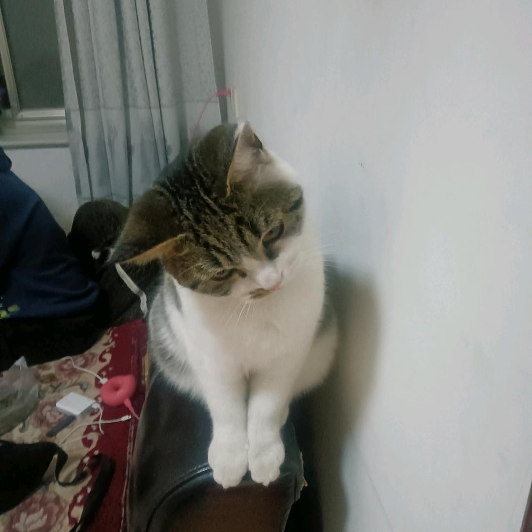 做自己想做的事