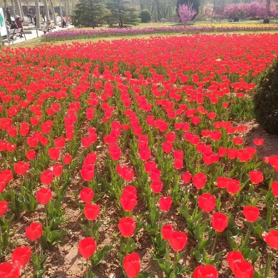 顺其自然
