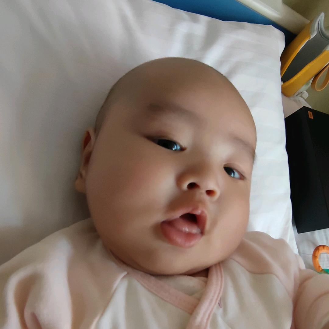 故地朝灵