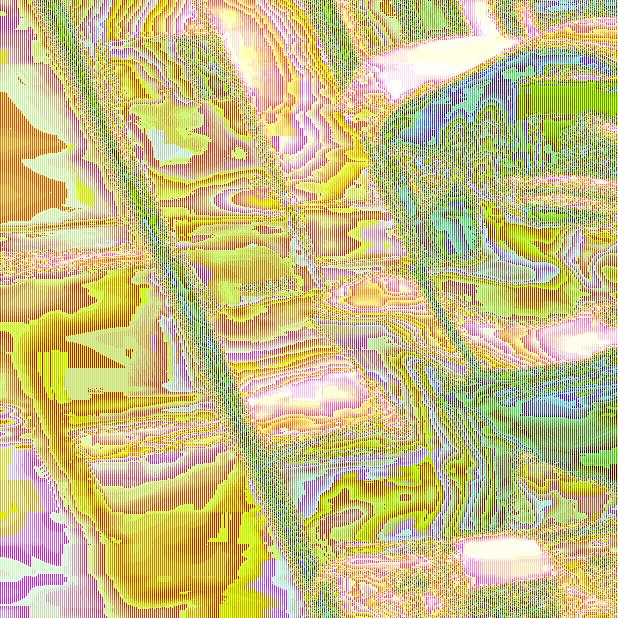 我不做大哥好多年