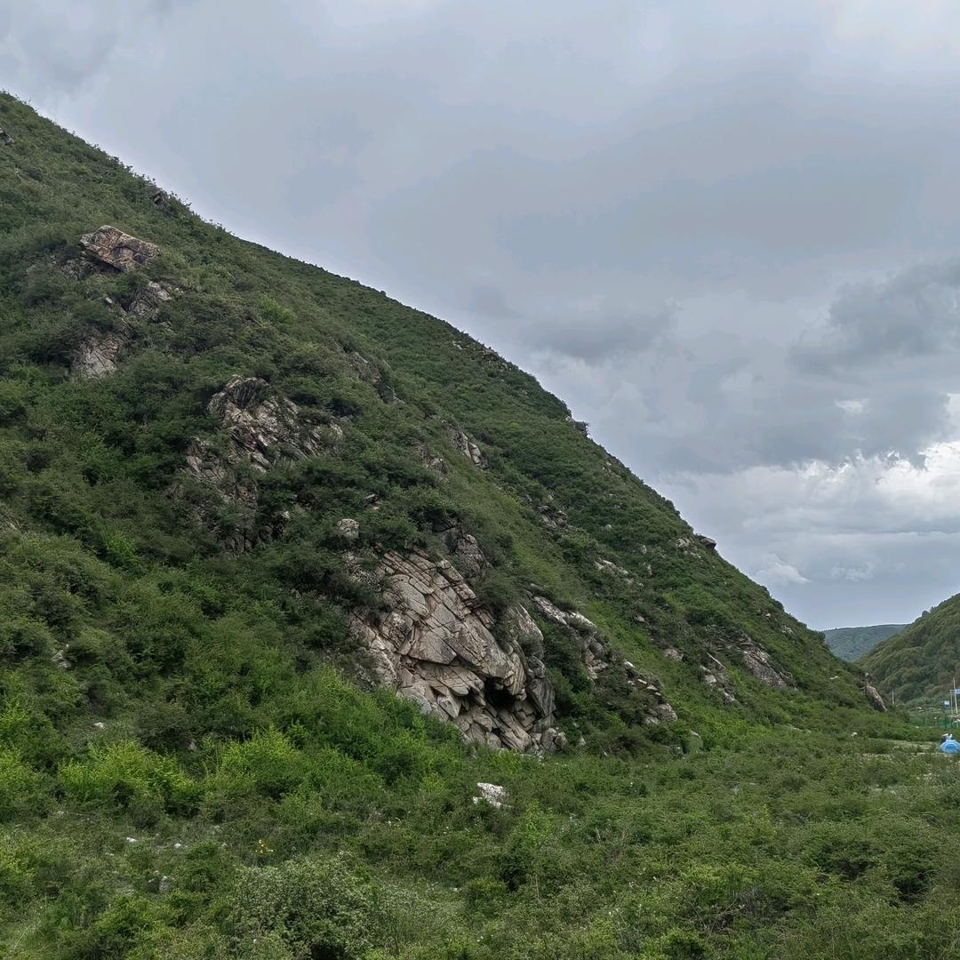 虎归山