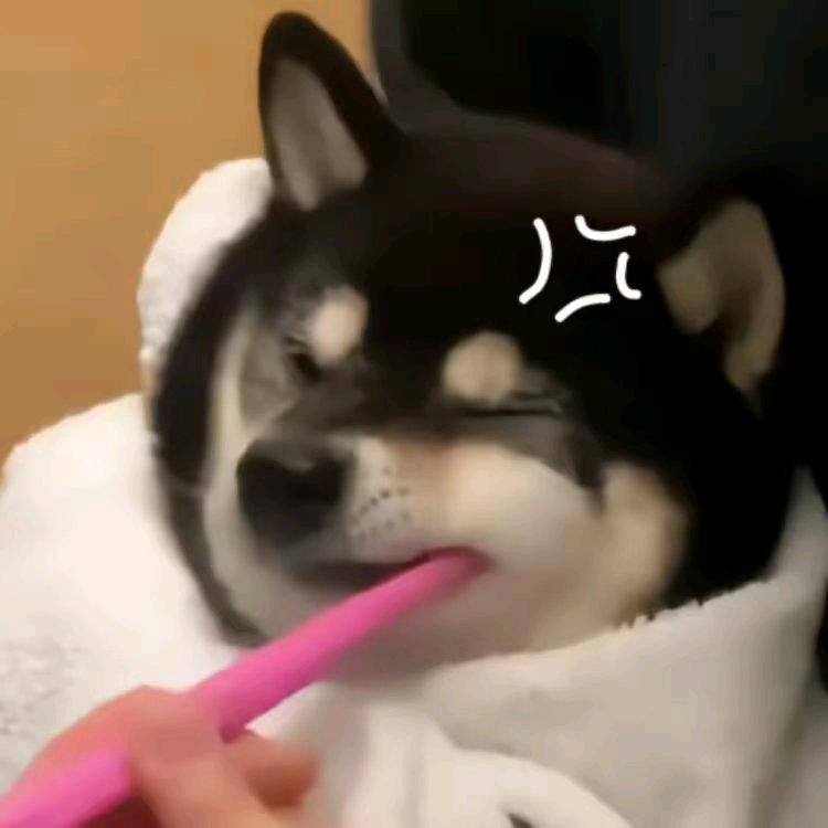 冷雨夜