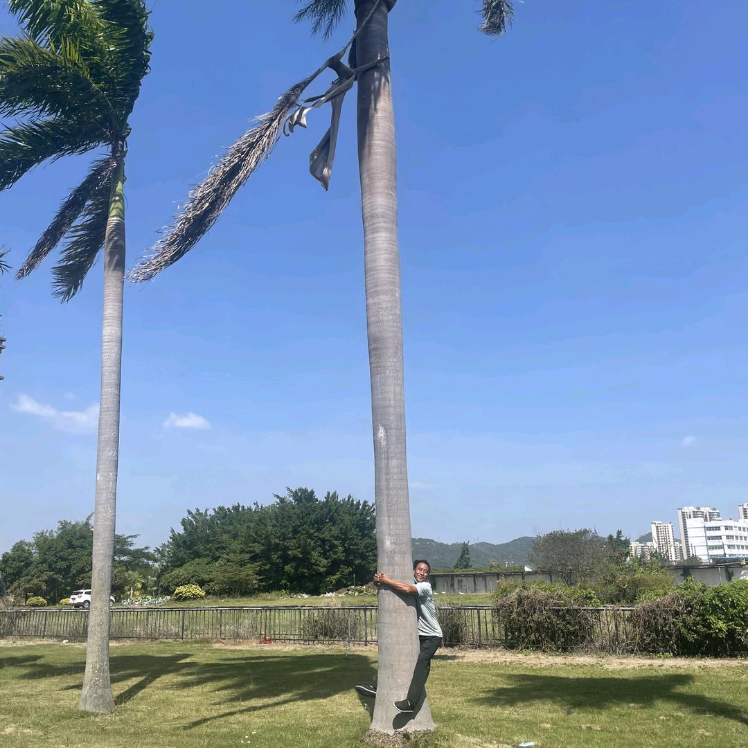 爱你一生不后悔