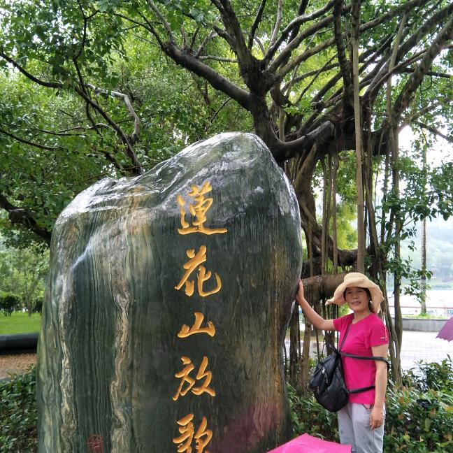 话梅y
