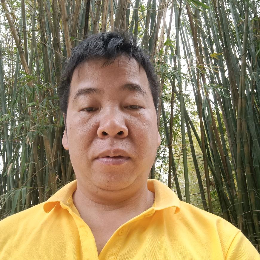 疯狂小陈闯未来