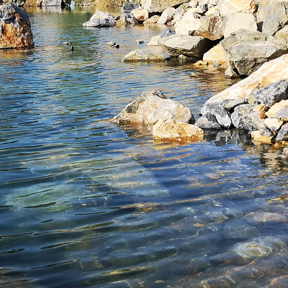 ～～海之歌～～