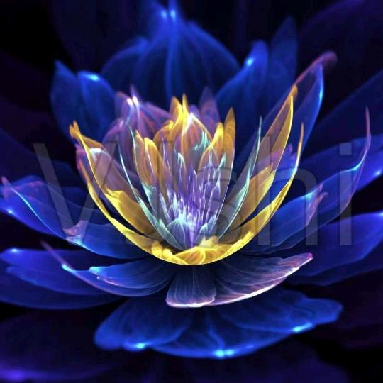 逍遥红尘游